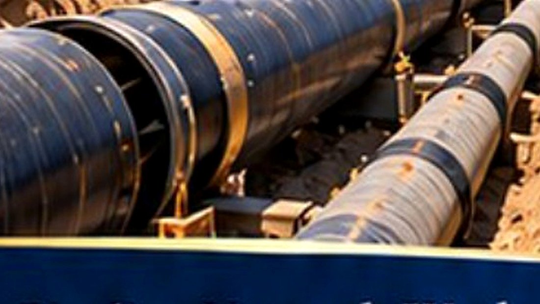 Company overview